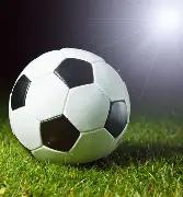 明年上海,将重点关注,与低空经济,易币付app,易币付网页版,易币付app官网下载