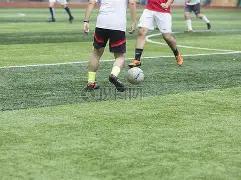 联想新款,电竞显示器,本月登场,易币付app,易币付网页版,易币付app官网下载