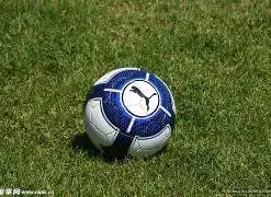 年历下区体,育企业激增,人均体育消,易币付app,易币付网页版,易币付app官网下载