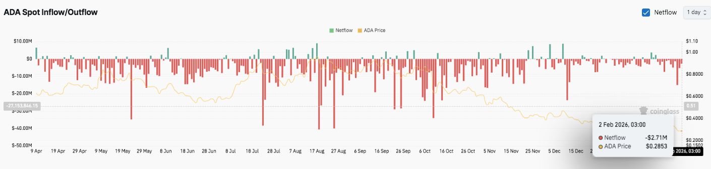 滤镜滥用引,争议,王俊凯被误,易币付app,易币付网页版,易币付app官网下载