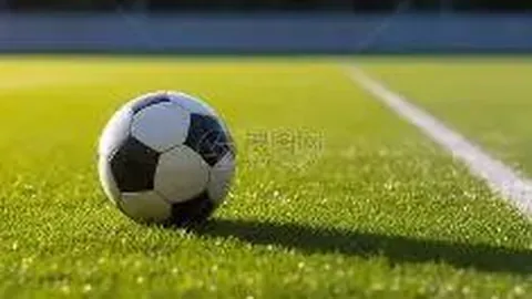 柳承敏遭2亿韩元受贿指控，最终洗清罪名获释