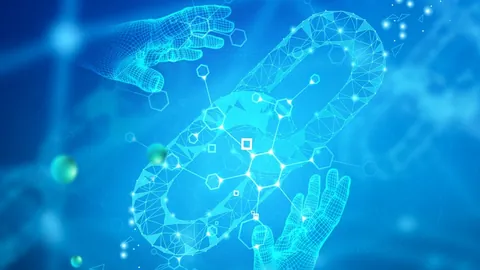 元宵晚会明星名单公布