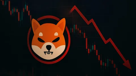 徐若瑄丈夫力挺爱妻：深感同情 深知其品性 全心信任