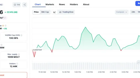 揭秘“智慧资本”布局AI基础设施新风口，以太坊与Chainlink携手领跑区块链江湖！
