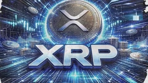 中国女排世界杯辉煌战绩一览，世界冠军荣誉次数揭秘